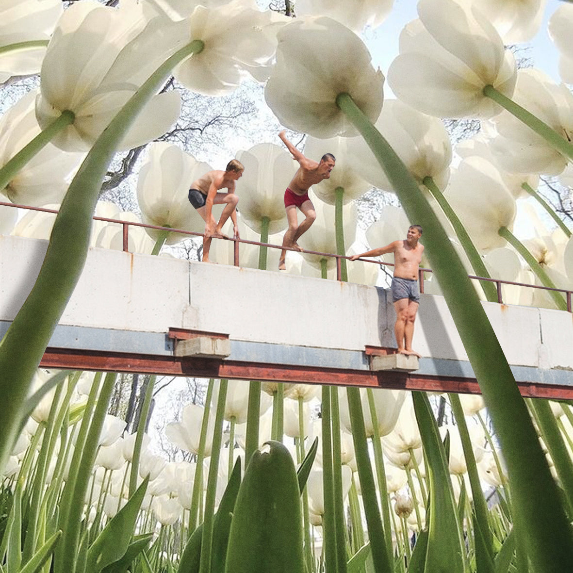 Summer Tulips [2022]