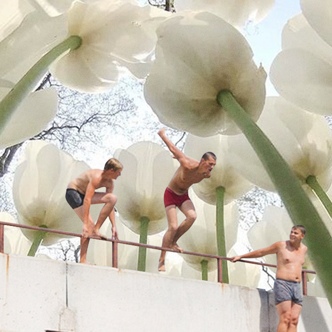 Summer Tulips [2022]