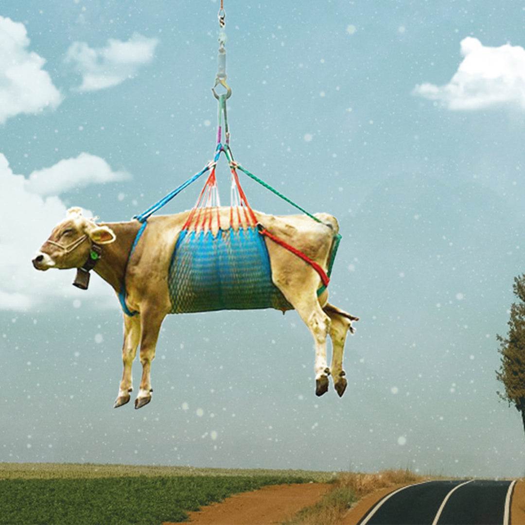 Cow in the Cloud