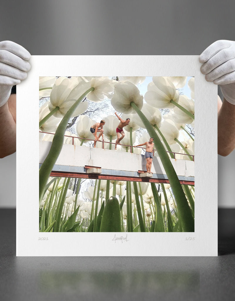 Summer Tulips [2022]